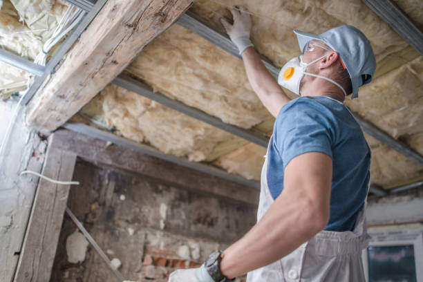 Best Insulation Maintenance and Repair in Nevada, MO
