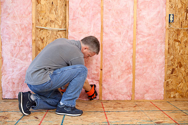 Best Blown-in Insulation in Nevada, MO