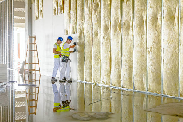 Types of Insulation We Offer in Nevada, MO